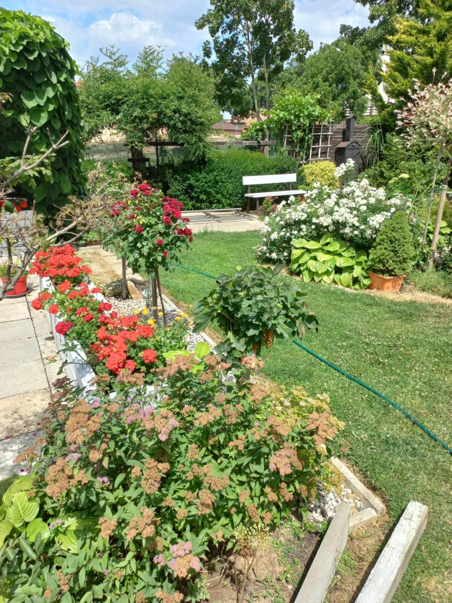 Paradise Villa Apartment Πράγα Εξωτερικό φωτογραφία